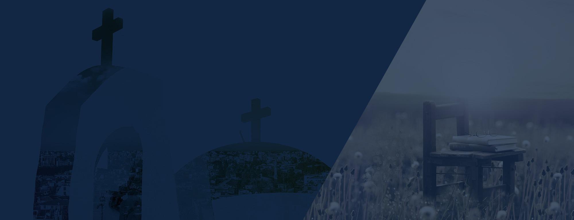 강의 목록 배경